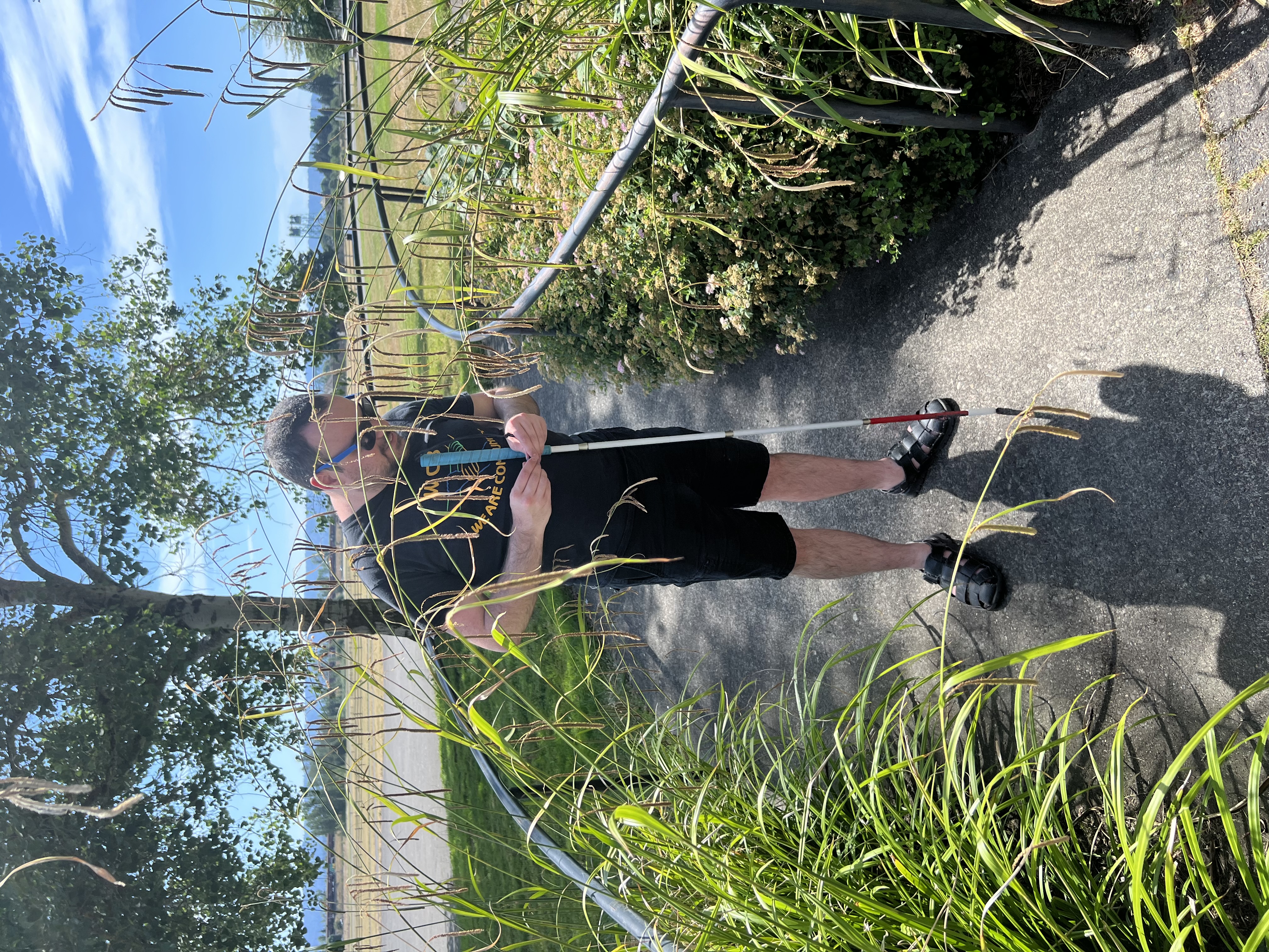 An Access Hound collaborator who is blind is stopped cold by overgrown vegetation on an entry ramp at a public place.

DESCRIBING: A vertical color photograph.
SYNOPSIS: A man with a white cane stands on a sunlit sidewalk, which is bordered by railings and thick vegetation that crosses over the railings, blocking the path. Long grass stems droop across the walkway at face height. The person faces downward and pauses, trying to decide how to approach the obstacle. 

IN-DEPTH DESCRIPTION: The photo centers on a white man with short dark hair, sunglasses, a black T-shirt, black shorts, and black sandals. He is facing the camera, in the center of a narrow and smooth concrete path that curves gently into the distance to the viewerʻs right and is lined on both sides by a waist-high metal handrail. The person holds a white cane in both hands; the cane tip points to the pavement near his right foot. Long, seed-tipped grasses arch from both sides of the path and brush the person’s head and chest, creating a face-level barrier. A midday sun casts a shadow of the person and cane onto the path in front of him.