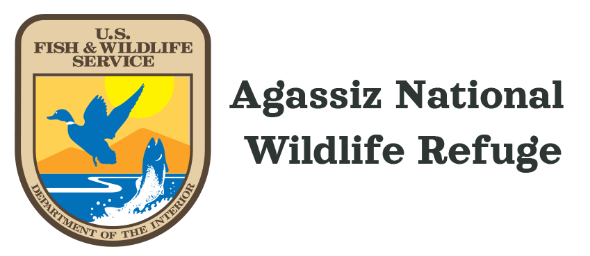 Agassiz National Wildlife Refuge